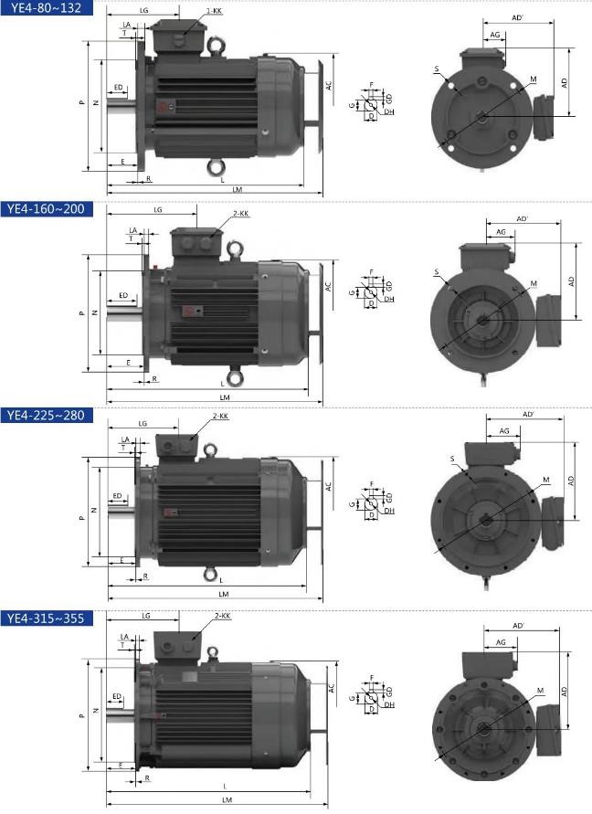 IE4 (YE4) Series 3 phase asynchronous electric motor