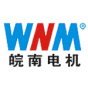 Chinese Motor Manufacturers