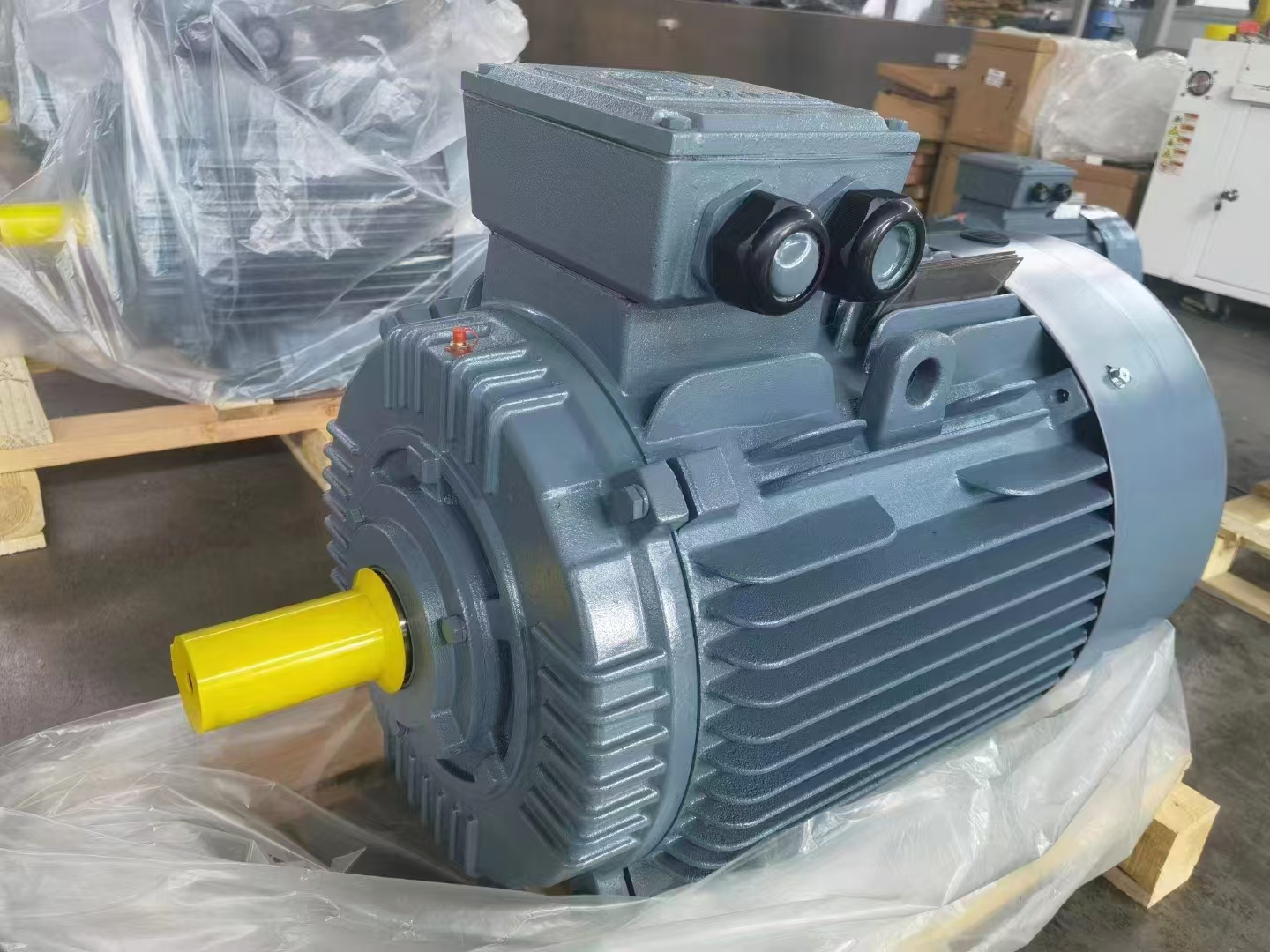 Three-phase asynchronous motors in conveyor applications