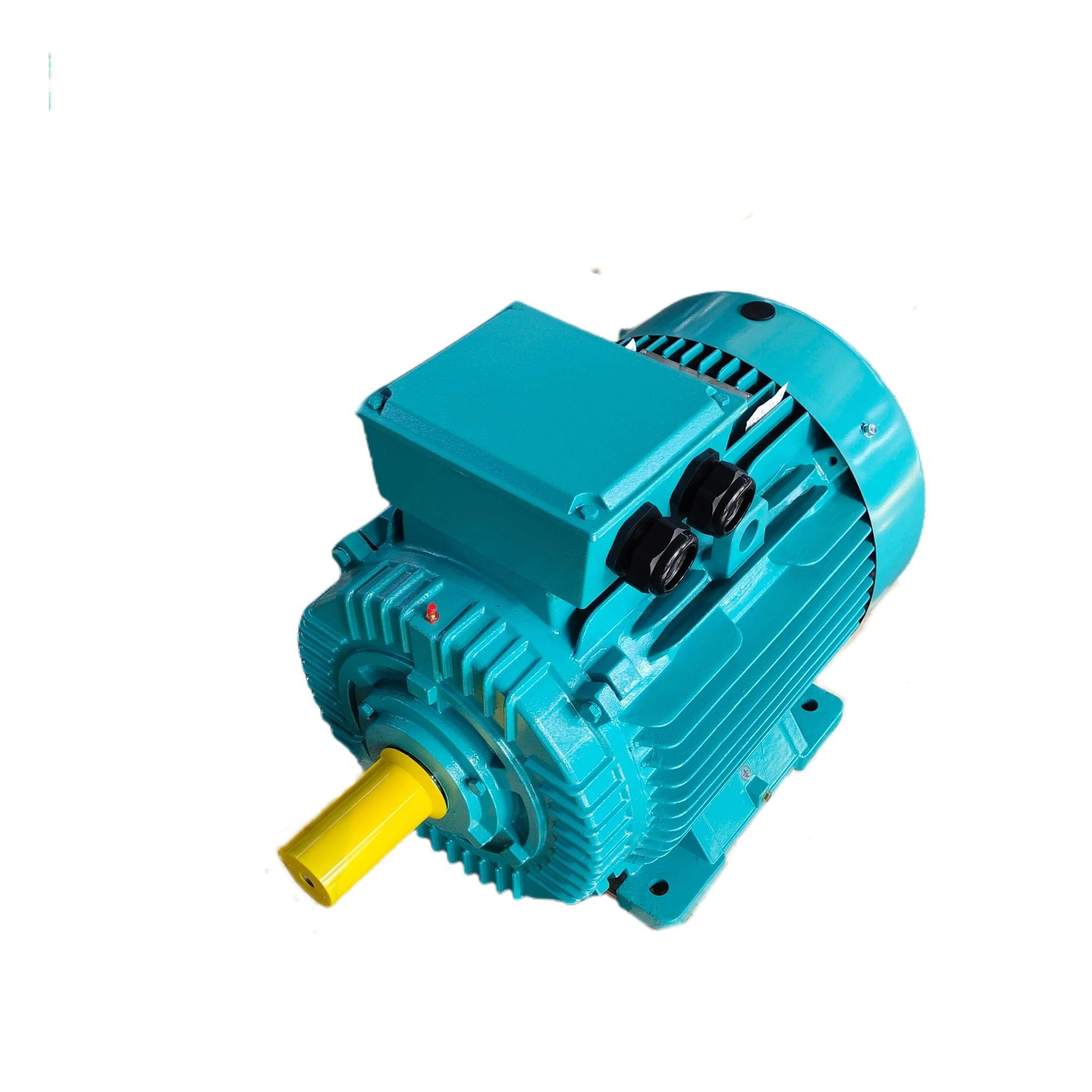 Why Is My Industrial Three-Phase Asynchronous Motor Starting Slowly?
