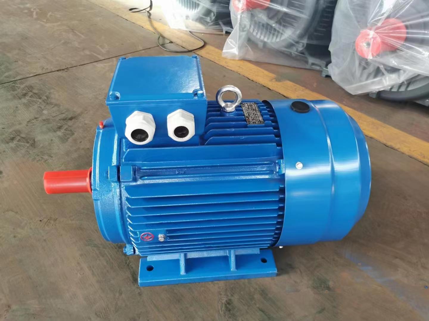 what is pole in electric motor？