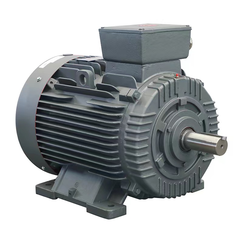Comprehensive Guide to 3-Phase AC Electric Motors